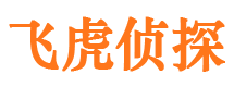 汤旺河调查公司